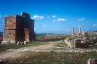 More images from Volubilis